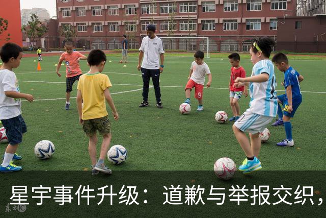 星宇事件升级：道歉与举报交织，反思背后的真实意图何在？